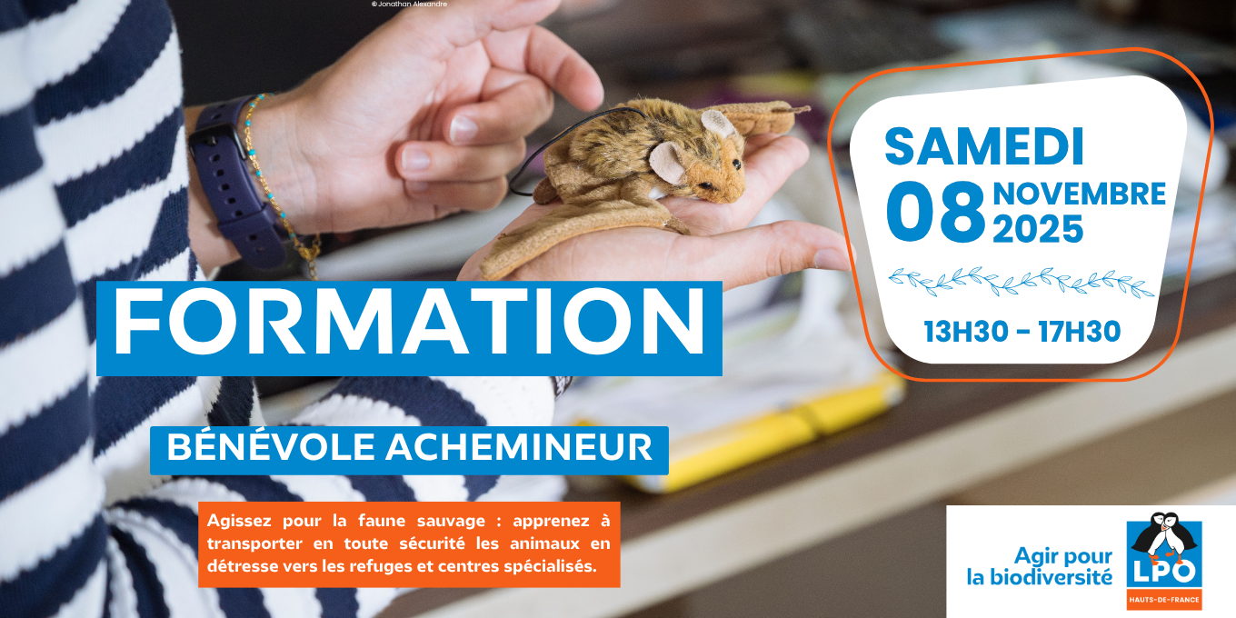 Formation bénévole achemineur